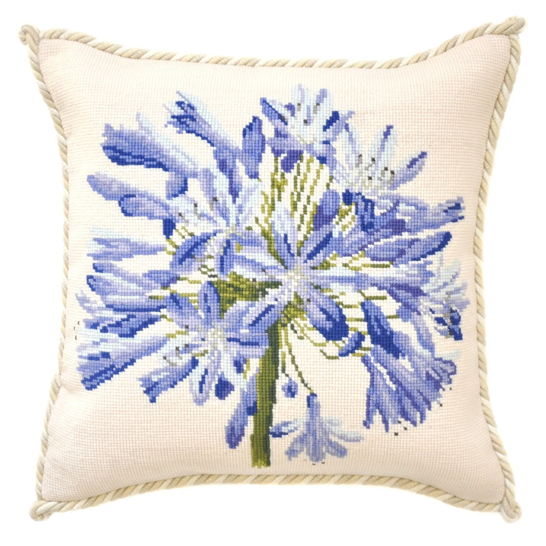 Agapanthus