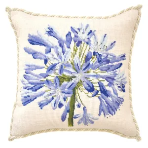 Agapanthus