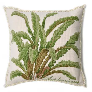 Asplenium