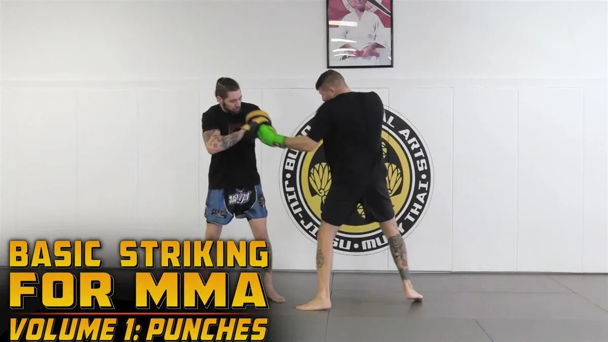 Basic Striking For MMA Volume 1: Punches by Charlie Vinch