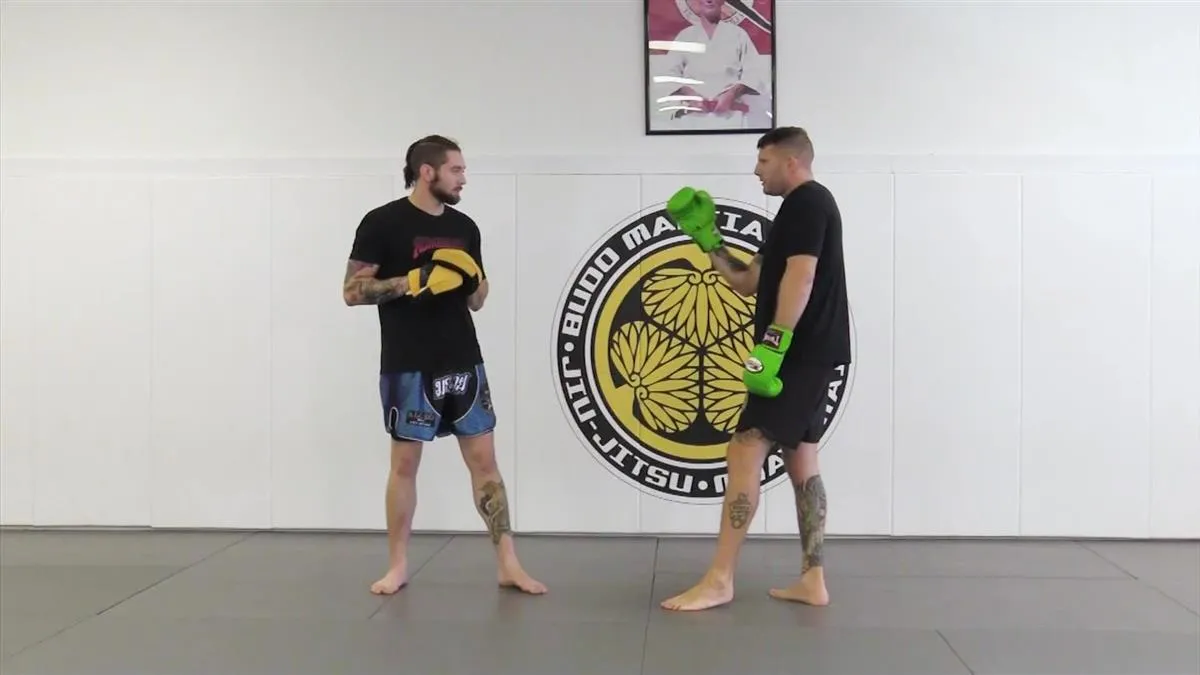 Basic Striking For MMA Volume 1: Punches by Charlie Vinch