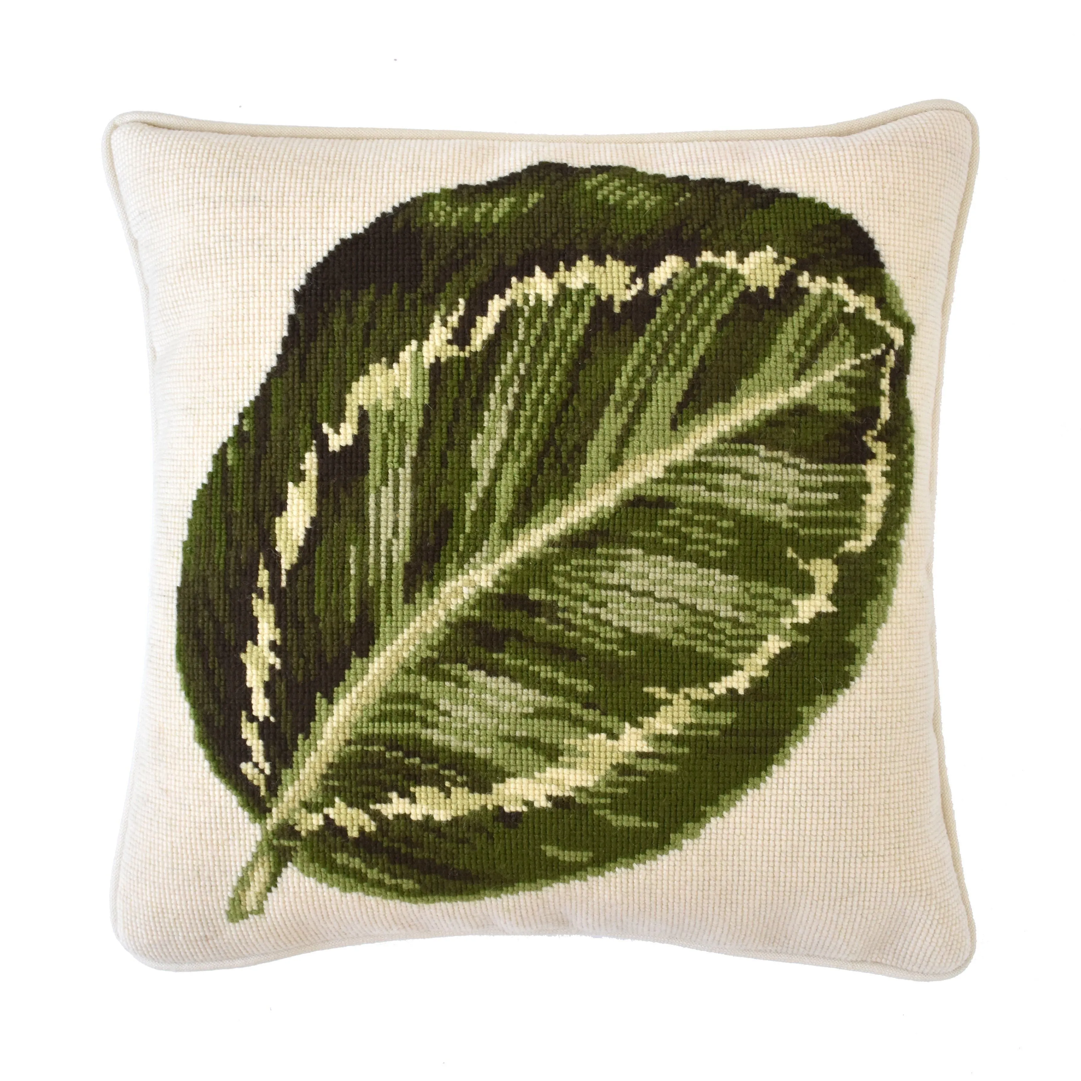 Calathea Leaf
