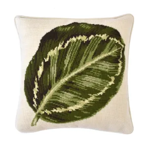 Calathea Leaf