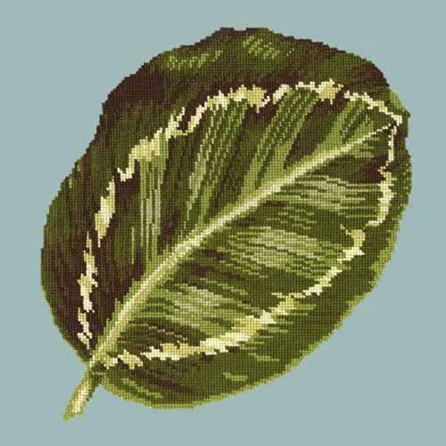 Calathea Leaf