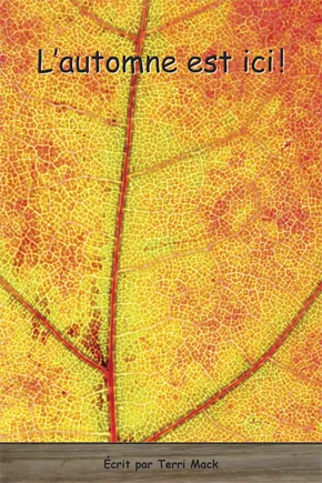 Collection Lecteurs forts - B: L’automne est ici ! (N12)
