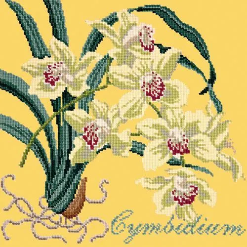 Cymbidium (Boat Orchid)