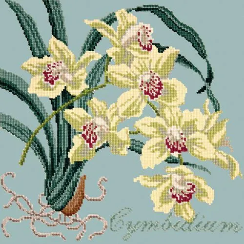 Cymbidium (Boat Orchid)
