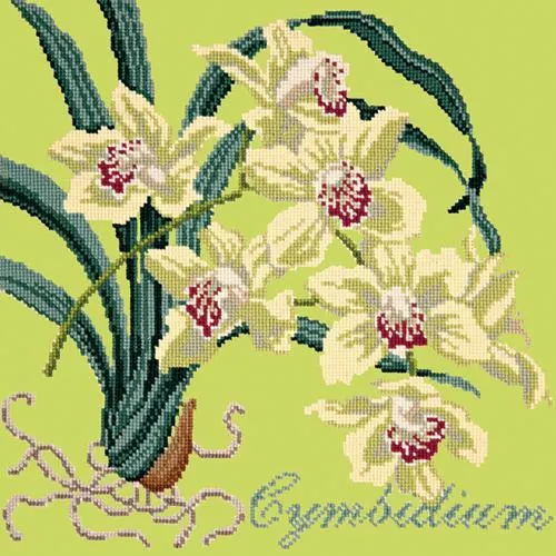 Cymbidium (Boat Orchid)
