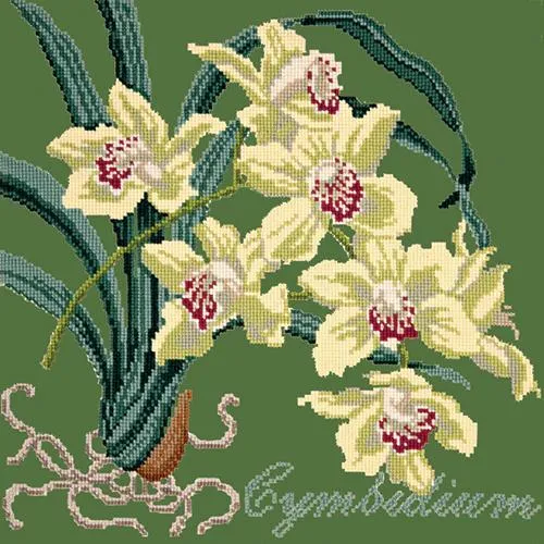Cymbidium (Boat Orchid)