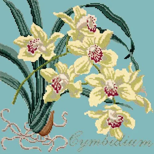 Cymbidium (Boat Orchid)
