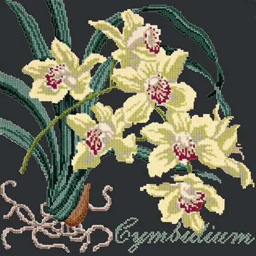 Cymbidium (Boat Orchid)