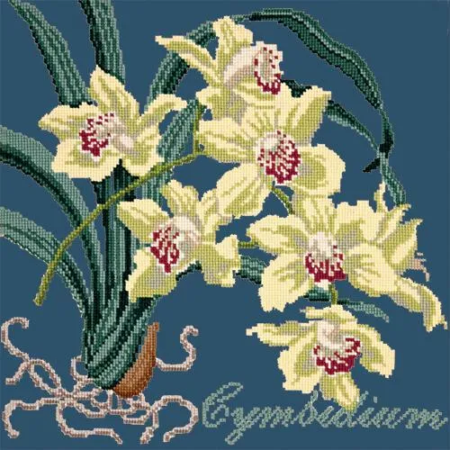 Cymbidium (Boat Orchid)