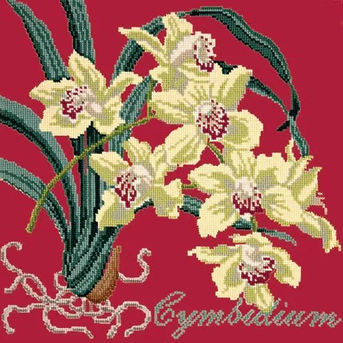 Cymbidium (Boat Orchid)