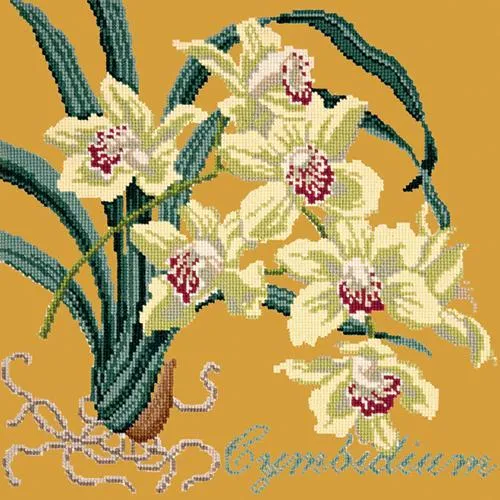Cymbidium (Boat Orchid)