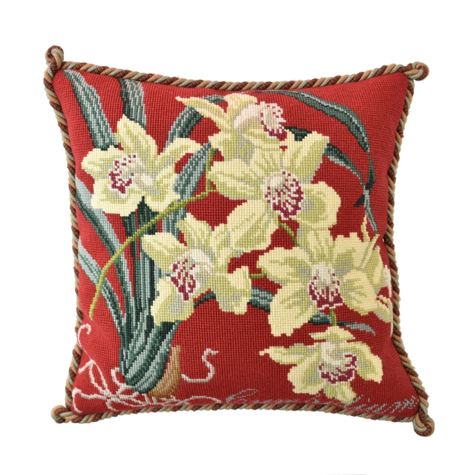 Cymbidium (Boat Orchid)