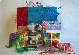 Dinosaur Show Bag