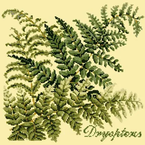 Dryopteris