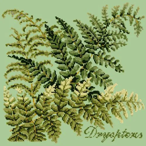 Dryopteris