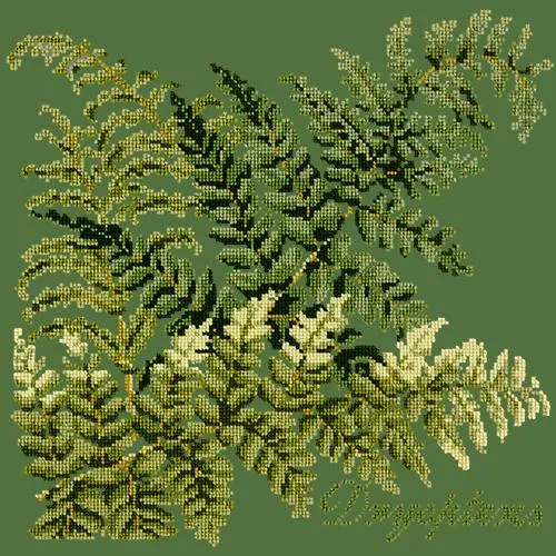 Dryopteris