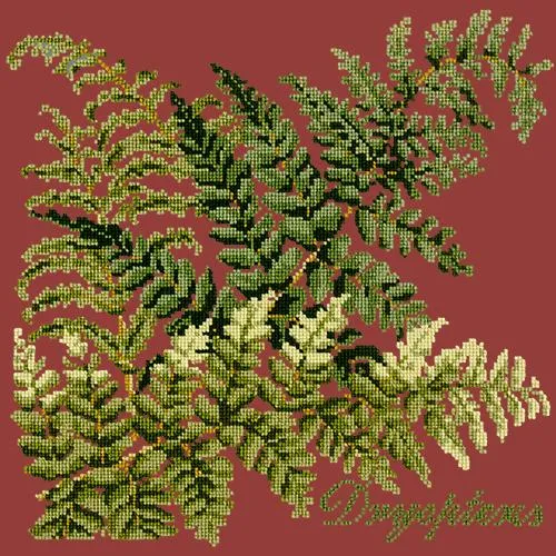 Dryopteris