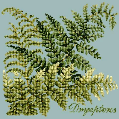 Dryopteris