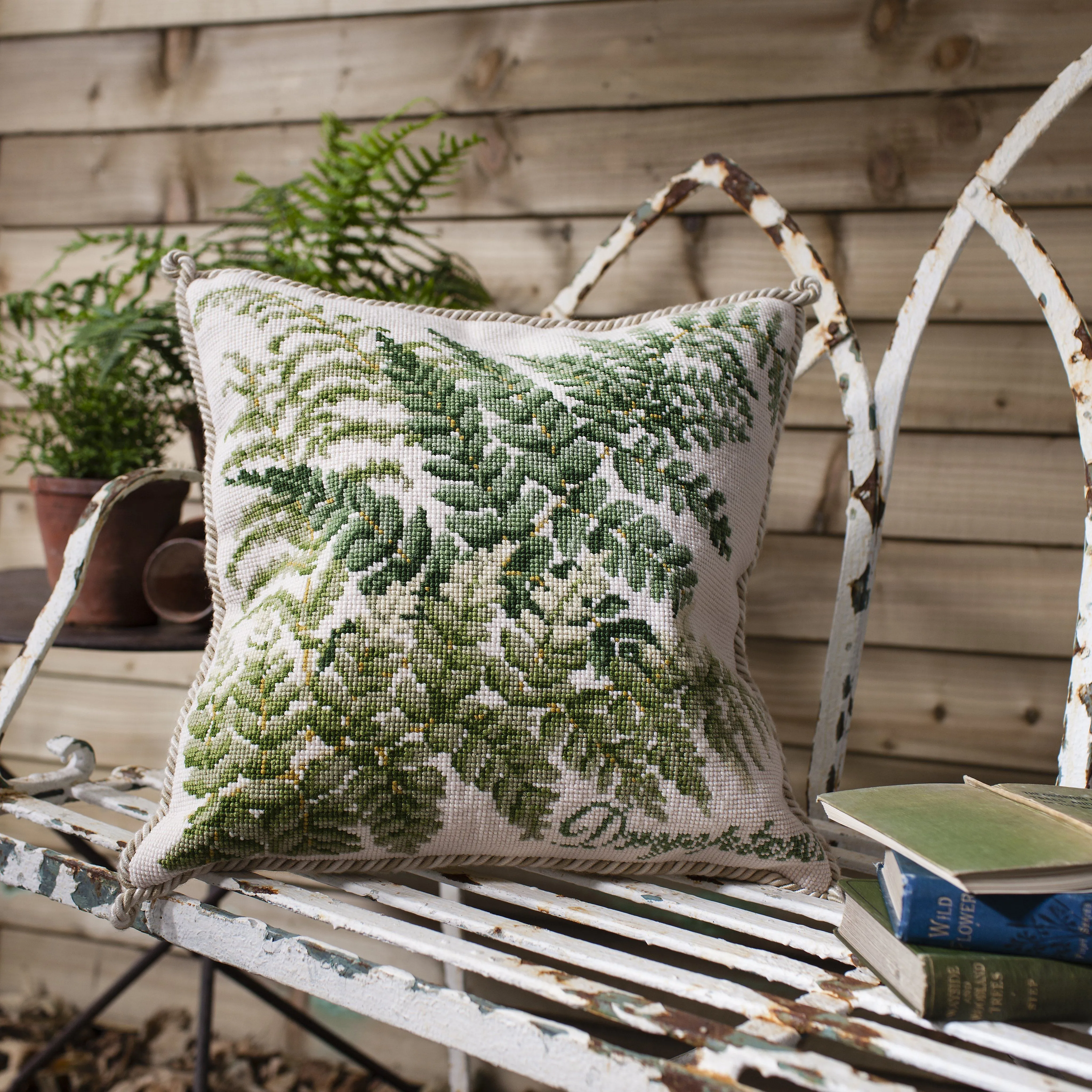 Dryopteris
