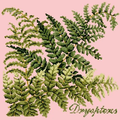 Dryopteris