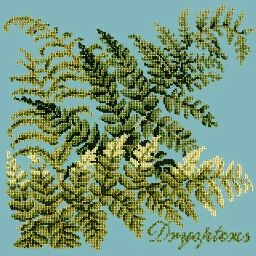 Dryopteris