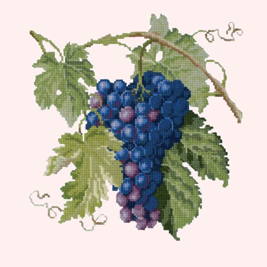 Grapes