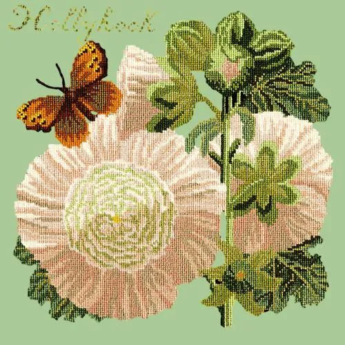 Hollyhock
