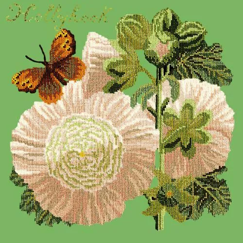 Hollyhock