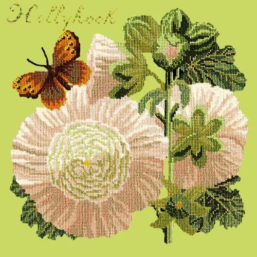 Hollyhock