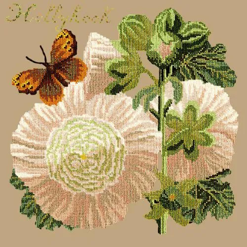 Hollyhock