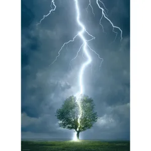 Lightning Striking Tree (1000 Pieces)