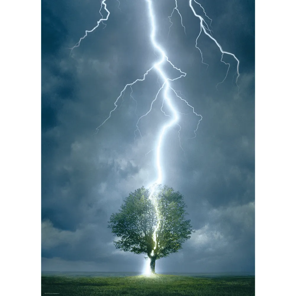 Lightning Striking Tree (1000 Pieces)