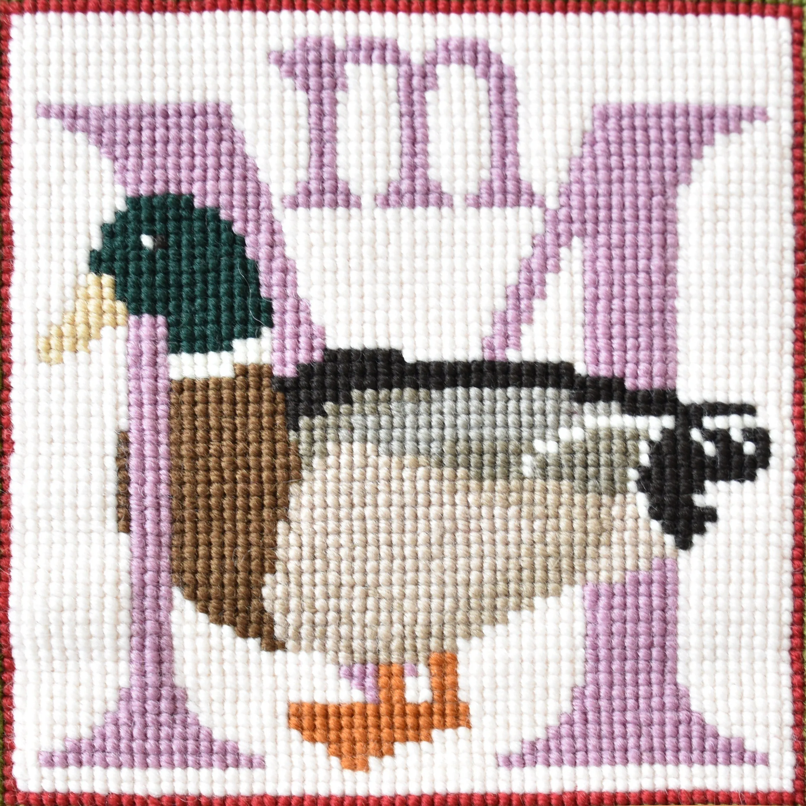 M-Mallard