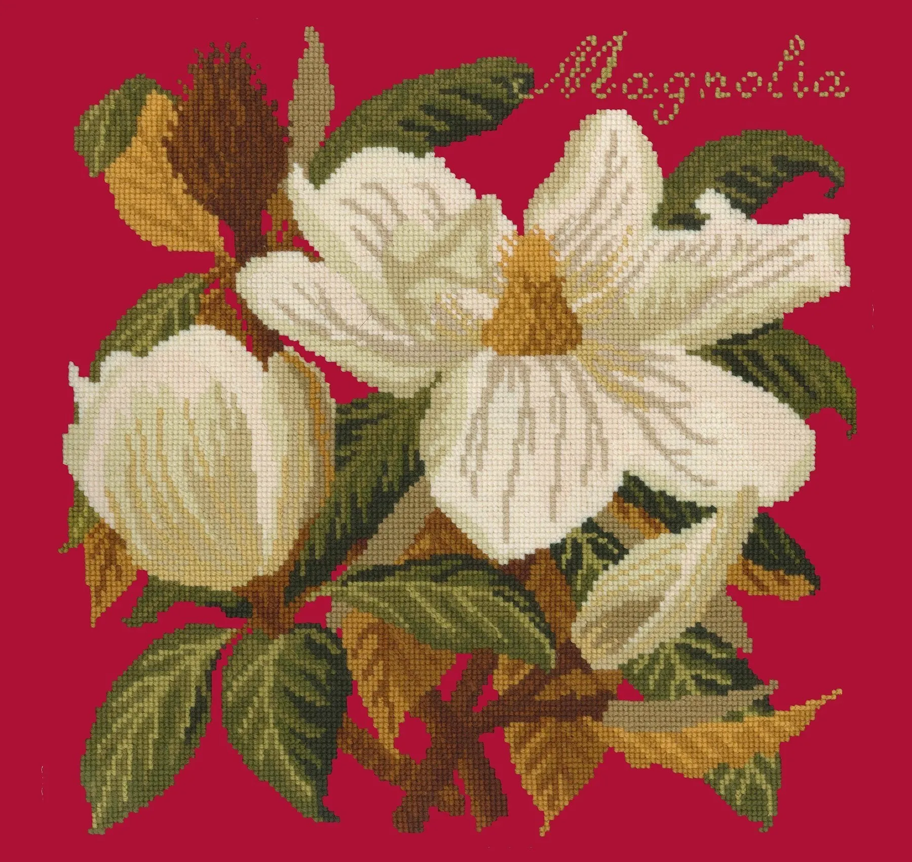 Magnolia