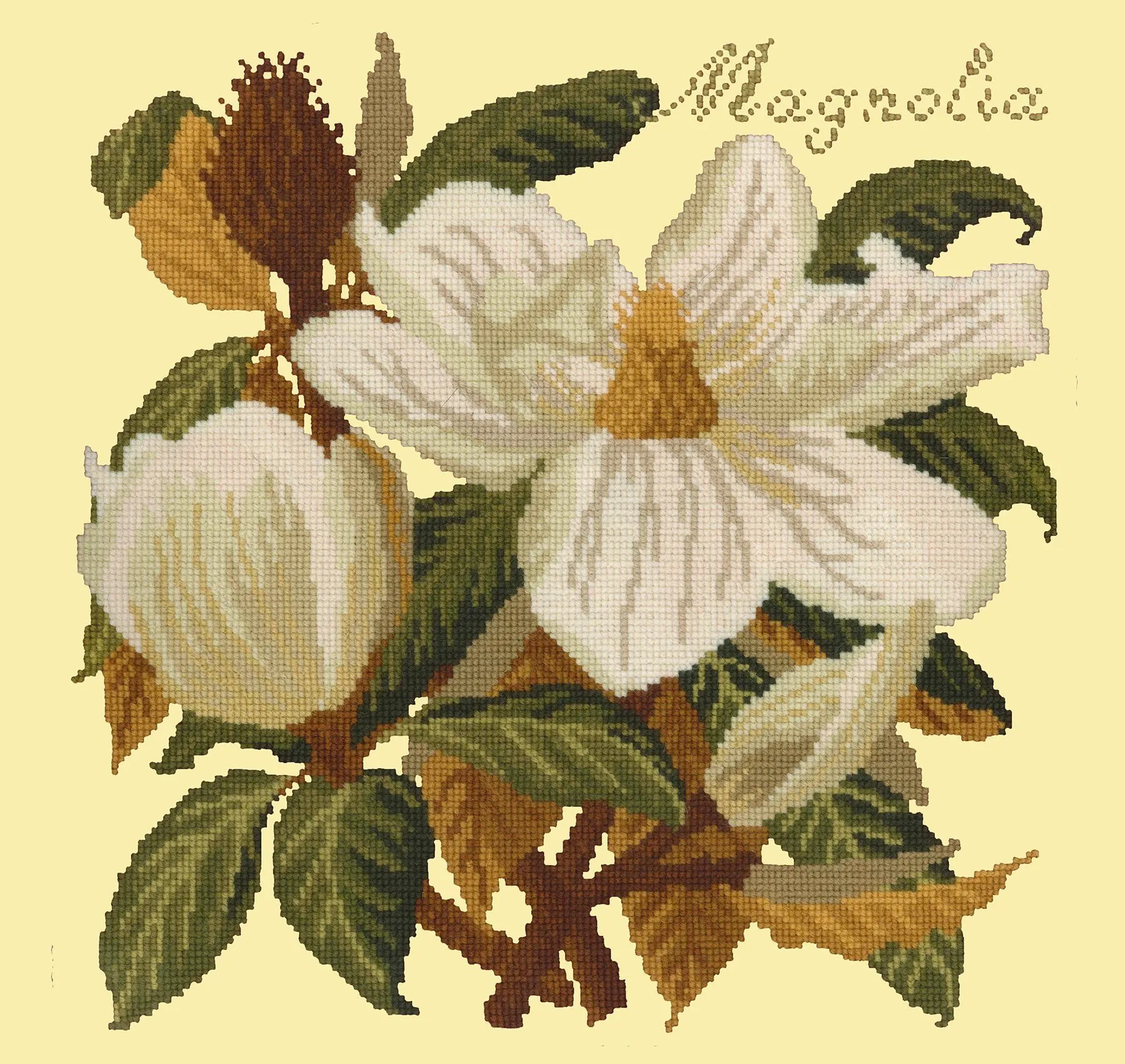 Magnolia