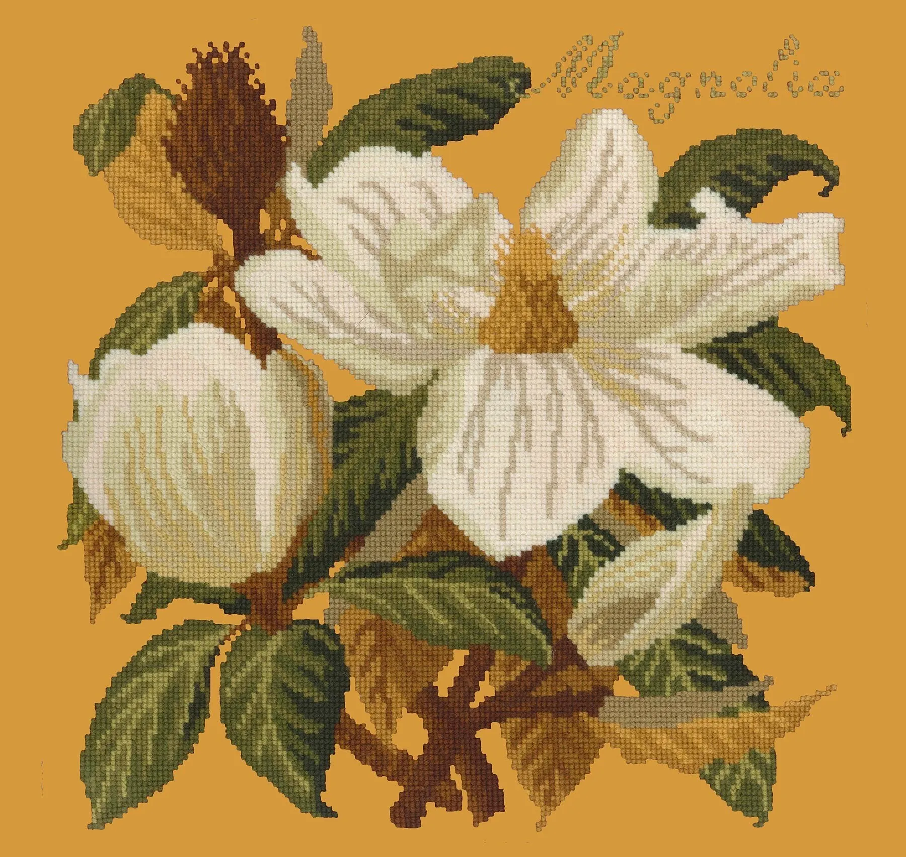 Magnolia