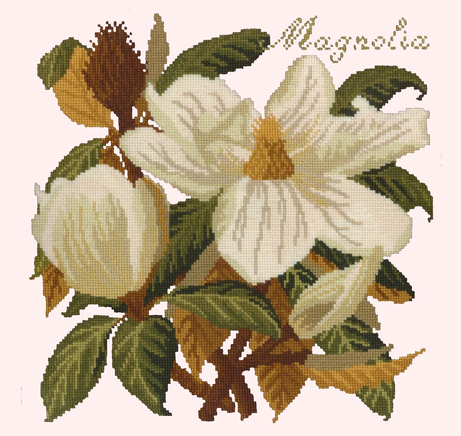 Magnolia
