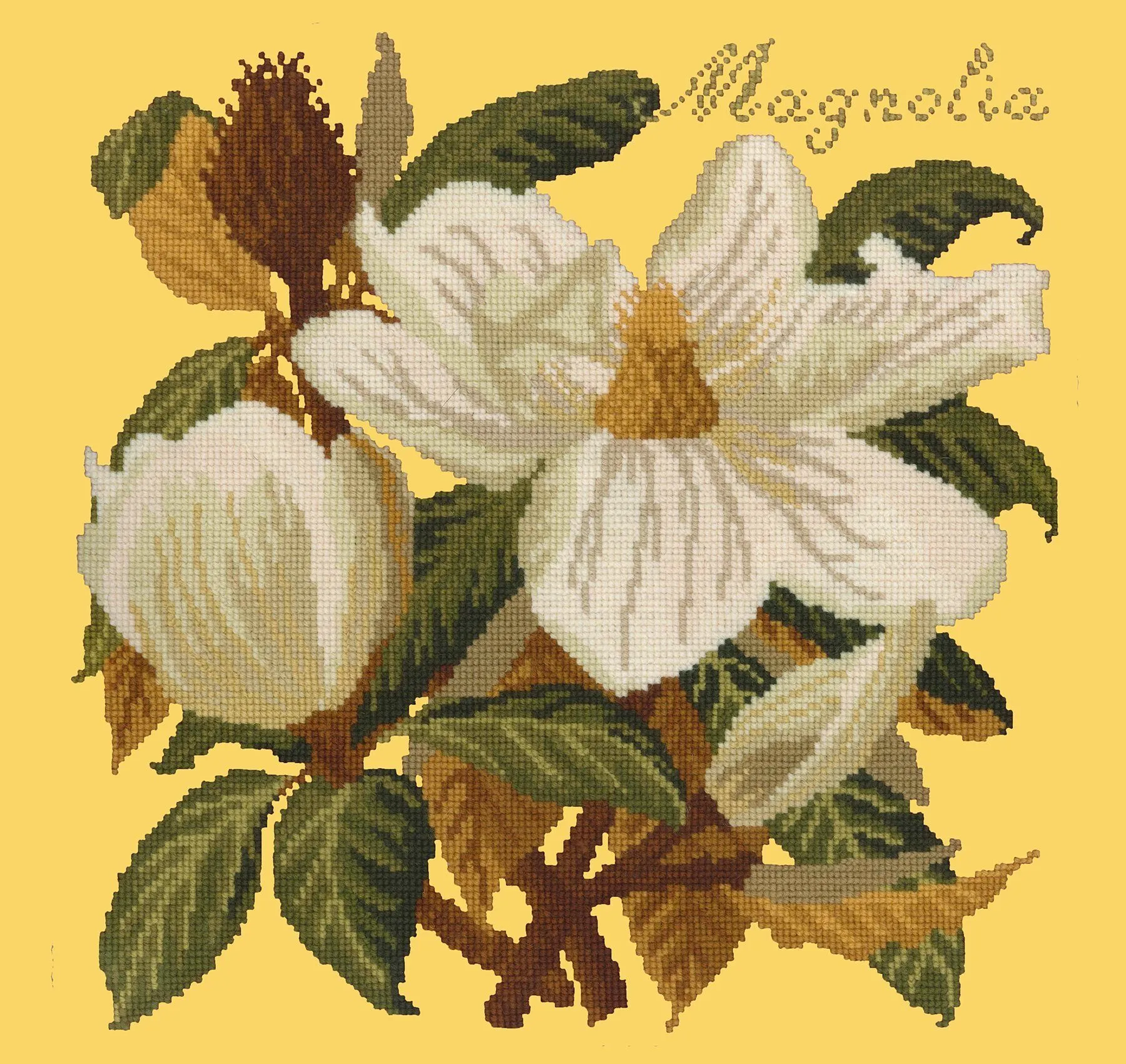 Magnolia
