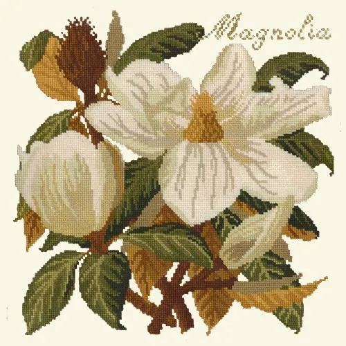 Magnolia