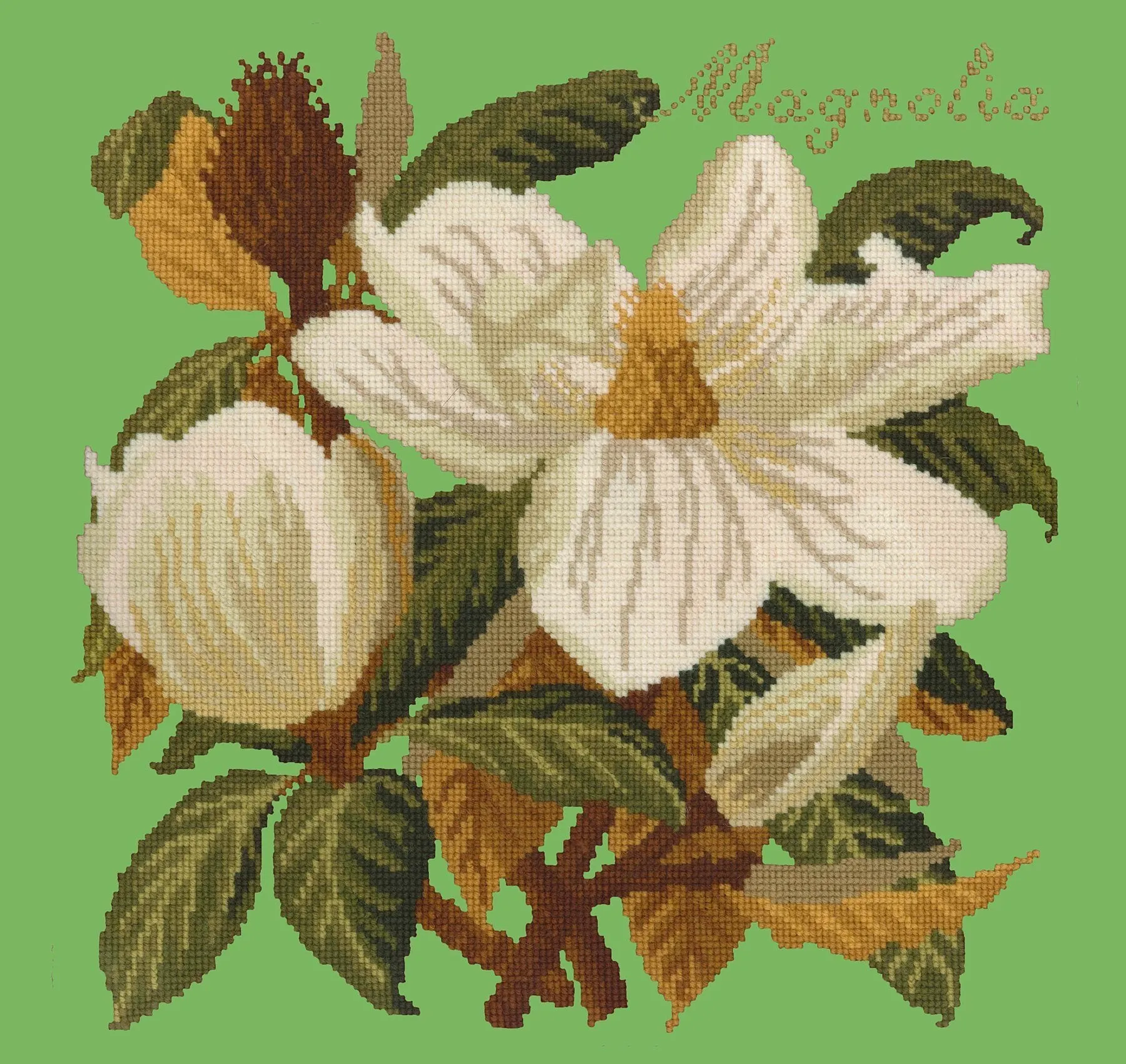Magnolia
