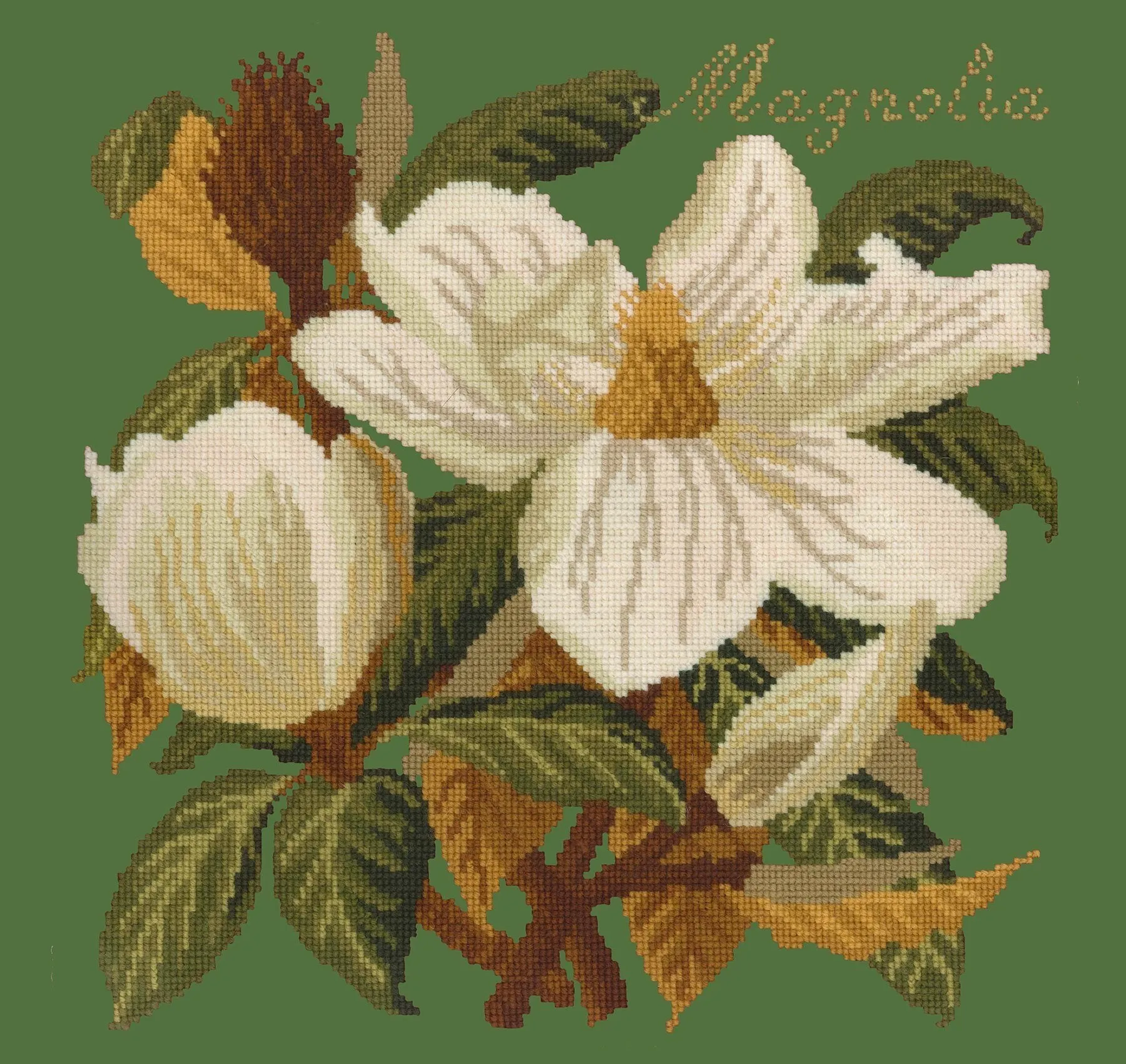 Magnolia