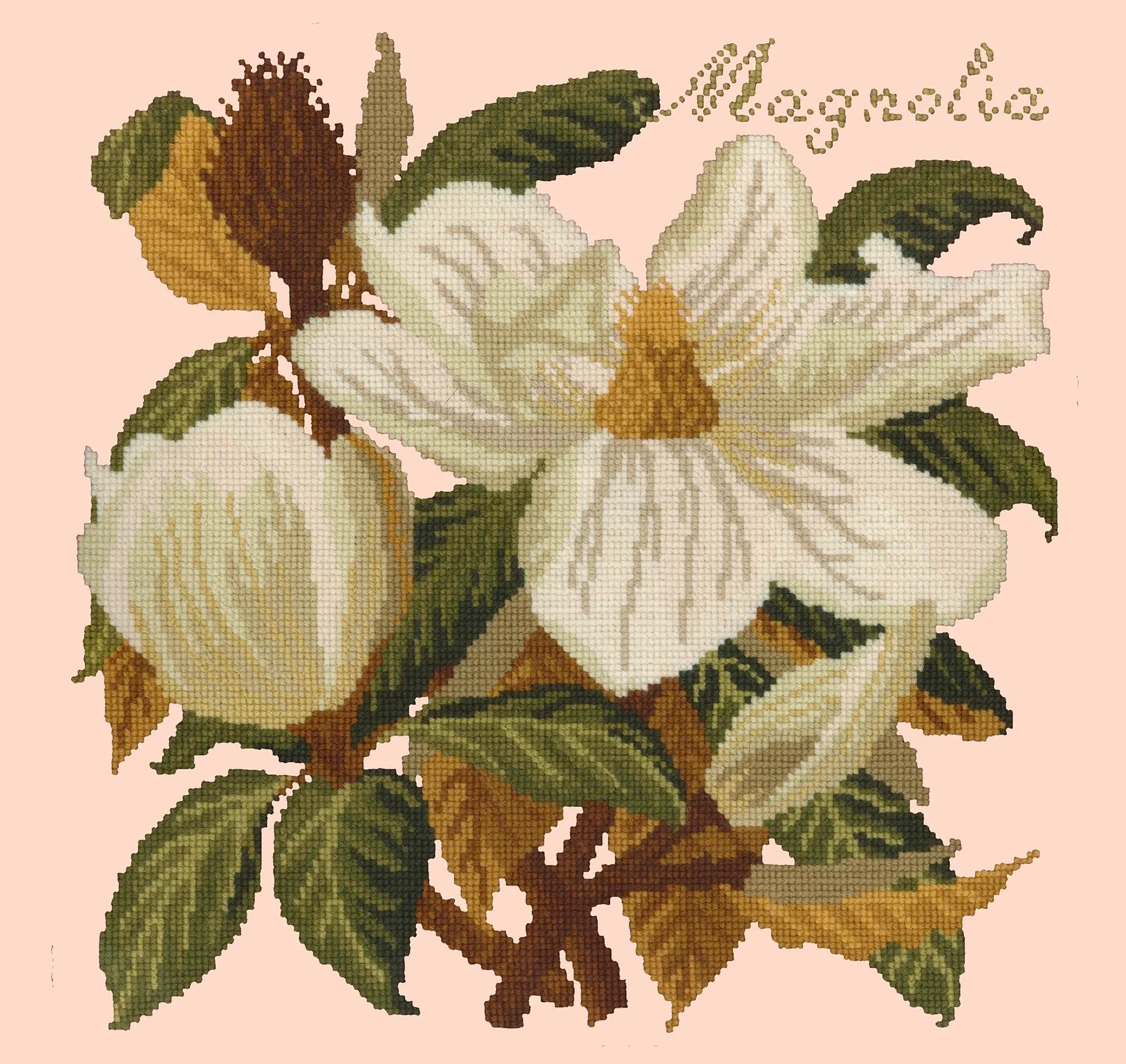 Magnolia