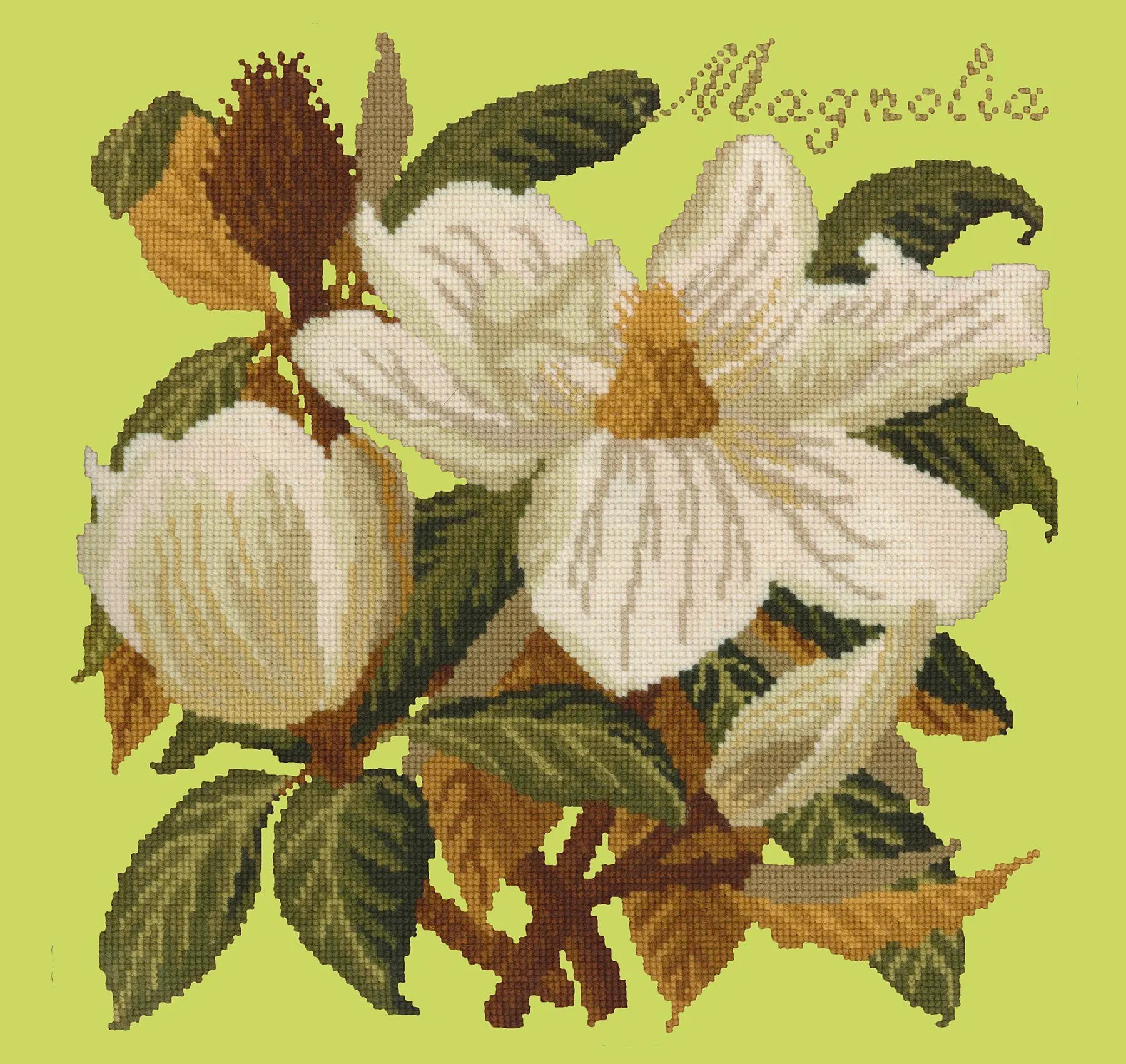 Magnolia