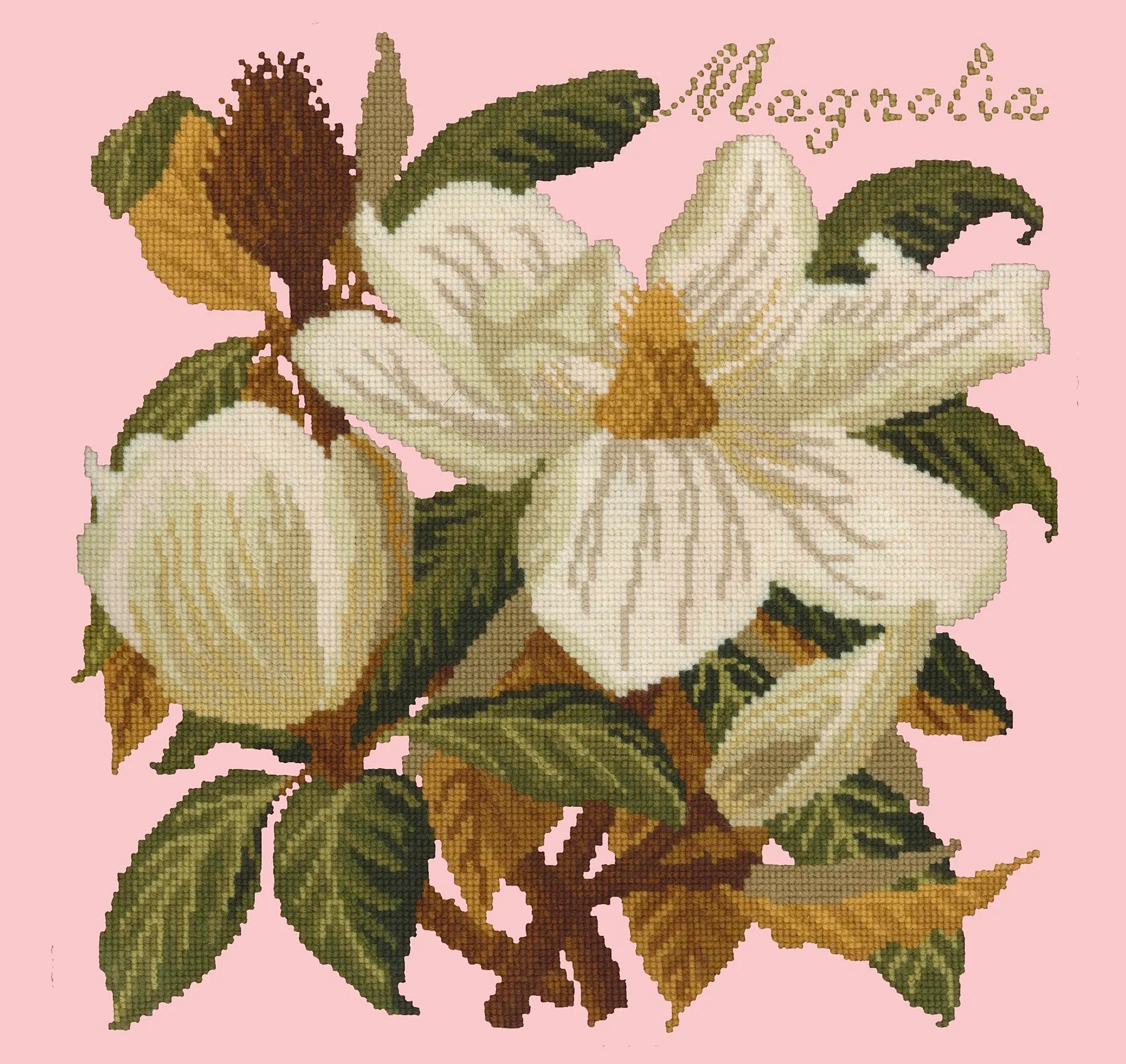 Magnolia