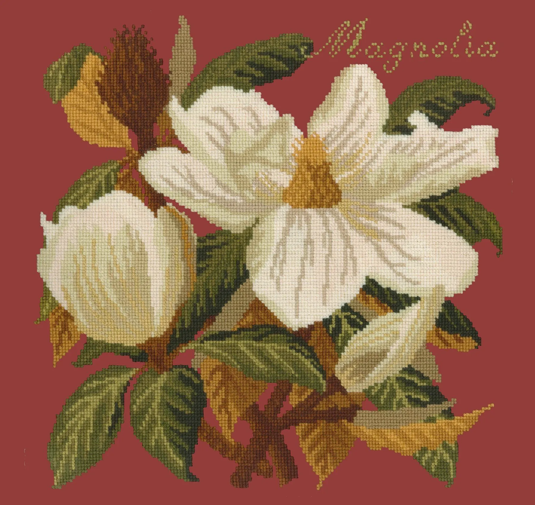 Magnolia