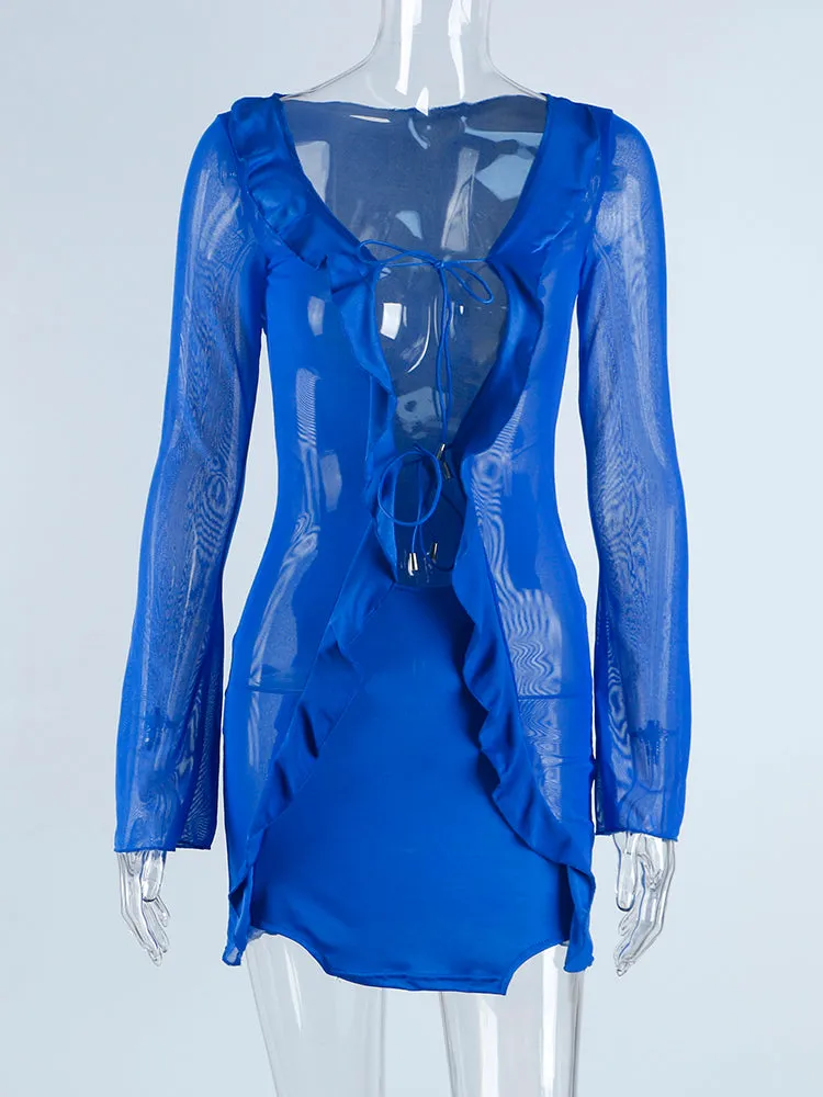 Mesh Panel Long Sleeve Ruffle Dress