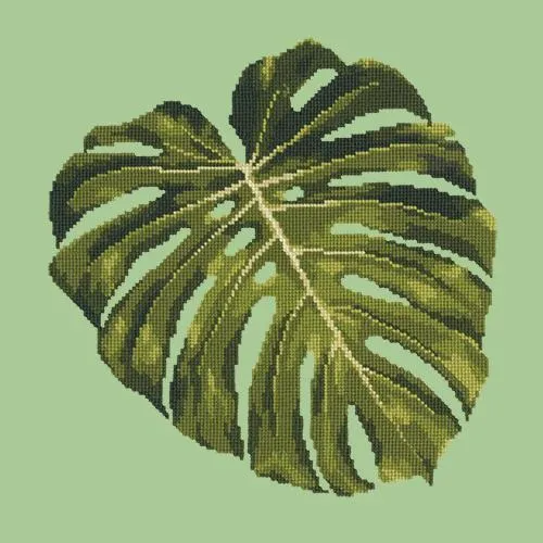 Monstera Leaf